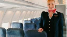 Timeline: Flight Attendant-Transportation, Distribution, & Logistics