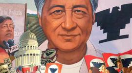 Timeline: Cesar Chavez