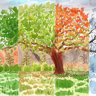 Timeline: Educación ambiental