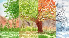 Timeline: Educación ambiental