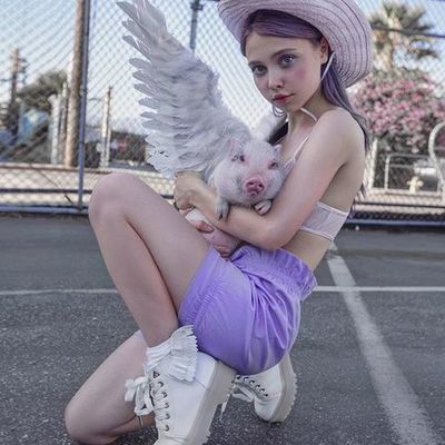 Timeline: Elena Sheidlin