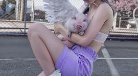 Timeline: Elena Sheidlin