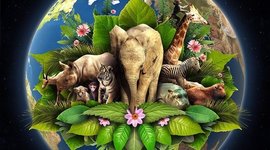 Timeline: Origen de la vida