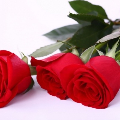 Timeline: День Матери