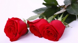 Timeline: День Матери