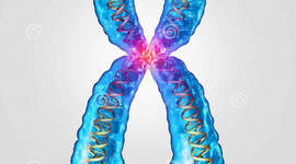 Timeline: HISTORIA DE LA BIOLOGIA