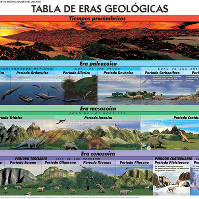 Timeline: Evolución de la vida en la tierra