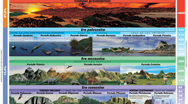 Timeline: Evolución de la vida en la tierra
