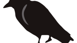 Timeline: El gran volador