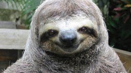 Timeline: World Smile Day