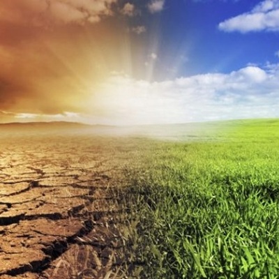 Timeline: recoperacion d1