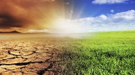 Timeline: recoperacion d1