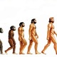 Evolucion