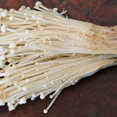 Timeline:  EVALUACIÓN DEL CRECIMIENTO Y PRODUCCIÓN DE   Flammulina velutipes  EN DIFERENTES MATERIALES ORGÁNICOS (trigo, cacha y cebada)