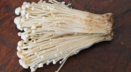 Timeline:  EVALUACIÓN DEL CRECIMIENTO Y PRODUCCIÓN DE   Flammulina velutipes  EN DIFERENTES MATERIALES ORGÁNICOS (trigo, cacha y cebada)