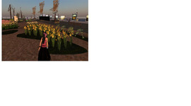 Timeline: Línea de tiempo cierre IDI