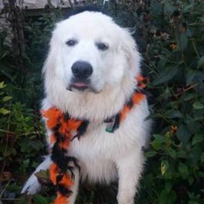 Timeline: Educational timeline