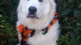 Timeline: Educational timeline