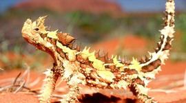 Timeline: J. P. El pollo vampiro