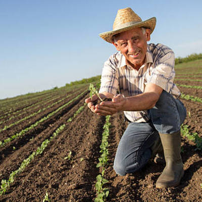 Timeline: Farming tool usage