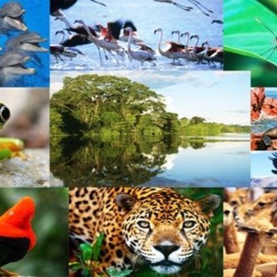 Timeline: indicadores ambientales y su evolucion