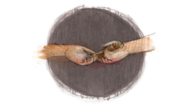 Timeline: ROMEO Y JULIETA