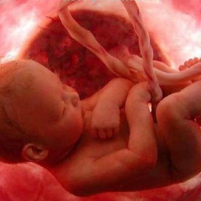 Timeline: nacimiento 1994