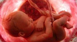 Timeline: nacimiento 1994