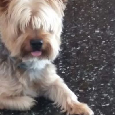 Timeline: Ciao bolt!