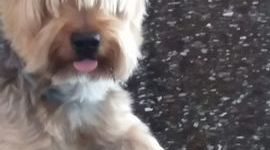 Timeline: Ciao bolt!