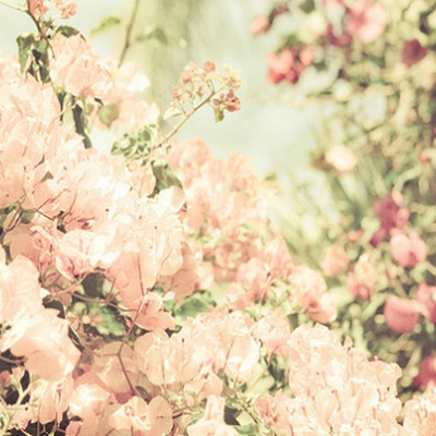 Timeline: las TIC y yo