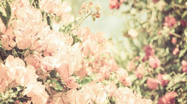 Timeline: las TIC y yo