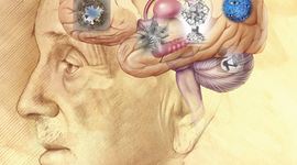 Timeline: Estructuralismo