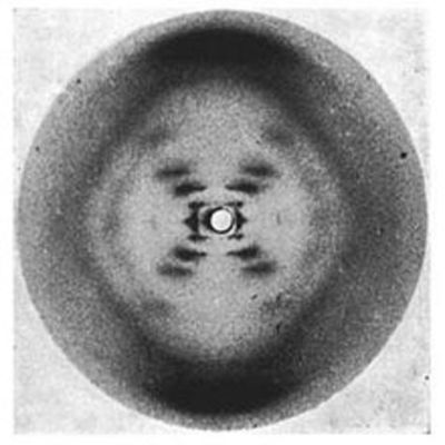 Timeline: ¿Quién descubrió el ADN?
