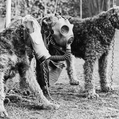 Timeline: World War One