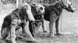 Timeline: World War One