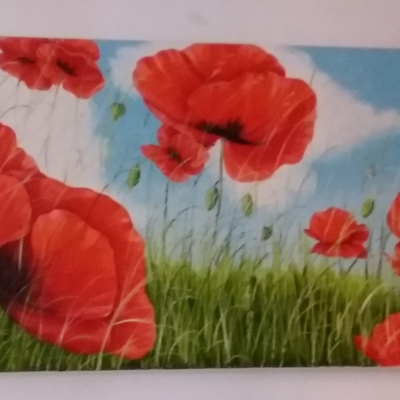 Timeline: La nostra vita