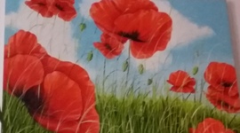 Timeline: La nostra vita