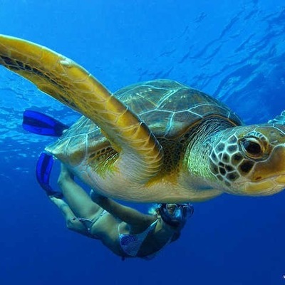 Timeline: timleylinley