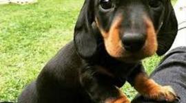 Timeline: dauklxbvjbvnvcnvhjnvhbfjnbhgvhbgvfgvhjbgvcfgvbhcfvbhnbvgcfvnbvgcfbvgcfbgvdrxfvghcfdxesrdthbgjvfhcjklmjknbjvhjfcdffdxszasuimo,okojihnubgyfvtcdrxfjkomjnhbgvcfdxrsdrctfvygbuhnijhbugvycftdrxsxxdcfvgbnhbhgv fcbgvyucftdbgvcftdfvgycftvgytfcdfvgbvyfctdrxcvgyvfcdx