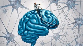 Timeline: Historia de la concepción del hombre