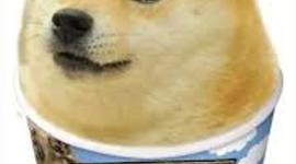 Timeline: doge