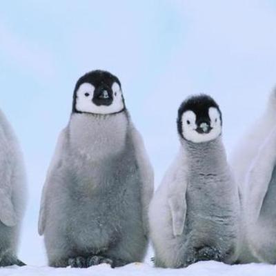 Timeline: Deadly Tsunamis-Danielle Tyrell and Destiny Todd