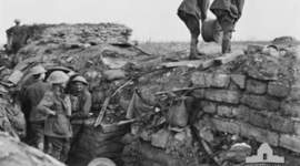 Timeline: Andrew John Sweetman