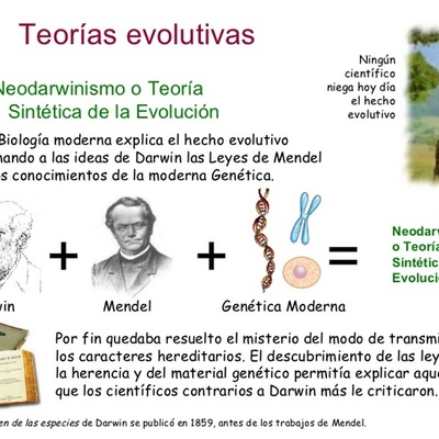 Timeline: Teorías de la evolución.