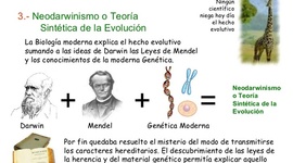 Timeline: Teorías de la evolución.
