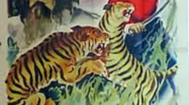 Timeline: i racconti d ' avventura di olocco nota e rugolo