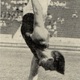 Pelle istván