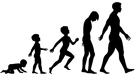 Timeline: Stages of Development Timeline