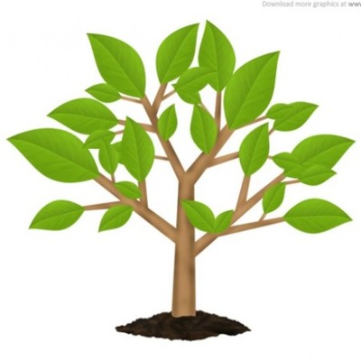 Timeline: CONFERENCIAS